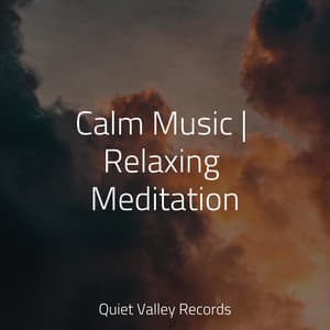 Calm Music | Relaxing Meditation - Pro Sounds of Nature
