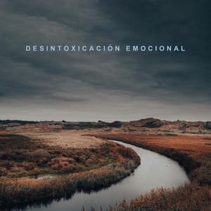 Desintoxicación Emocional: Lliberar la Negatividad, Calmarse, Superar el estrés - Relajación Mantra Guru