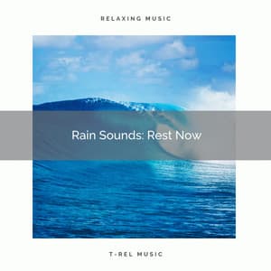 Rain Sounds: Rest Now - Raining for Calm Pets