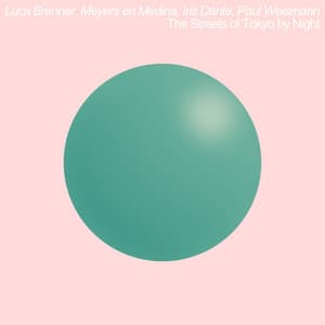 The Sreets of Tokyo by Night - Luca Brenner