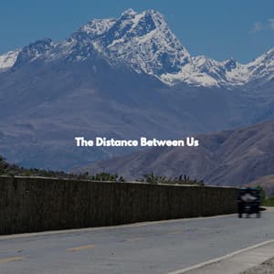 The Distance Between Us - Smooth Jazz New York Collective