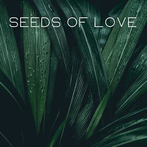Seeds of Love - Music for Plants