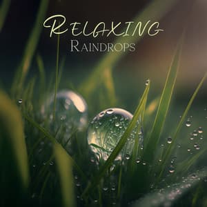 Relaxing Raindrops: Collection of Rain Sounds for Sleep, Meditation and Spa Therapy - NatuREM