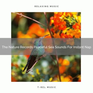 The Nature Records Peaceful Sea Sounds For Instant Nap - Sound Sleeping