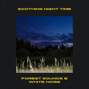 Soothing Night Time Forest Sounds & White Noise, Loopable - Night Nature Sounds
