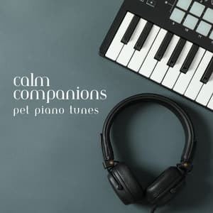 Calm Companions: Pet Piano Tunes - Calm Sacred Space