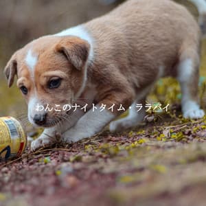 わんこのナイトタイム・ララバイ - Breakfast Lounge Music