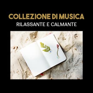 Collezione di musica rilassante e calmante - Musica tranquilla accademia