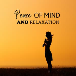 Peace of Mind and Relaxation: Soothing, Awe Inspired and Serene Healing Music with Nature Sounds for Meditation & Yoga - Relaxation Area