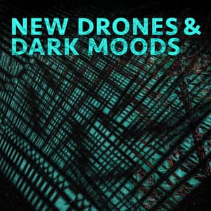 New Drones and Dark Moods - Alan Fillip