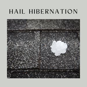 Hail Hibernation - Rainforest Sounds