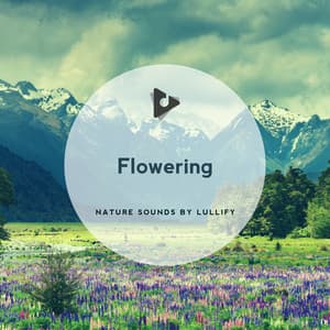 Flowering - Nature Sounds by Lullify