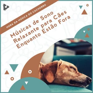 Músicas de Sono Relaxante para Cães Enquanto Estão Fora - Hora da Música do Cachorro