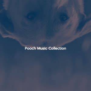Pooch Music Collection - Vintage Cafe Vintage