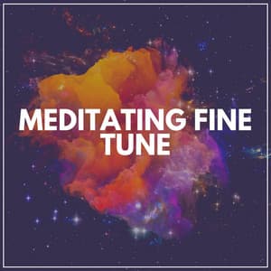 Meditating Fine Tune - Yoga