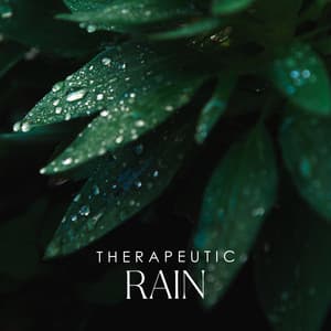 Therapeutic Rain: Music for Massage, Wellness, Spa Treatments - Sound of Nature Library