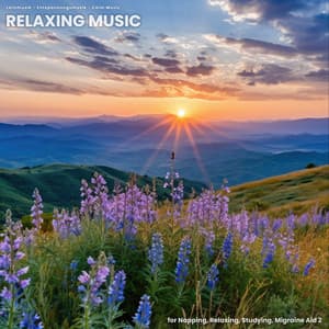 Relaxing Music for Napping, Relaxing, Studying, Migraine Aid 2 - Lernmusik