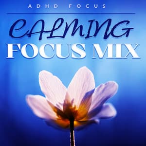 Calming Focus Mix - ADHD Focus
