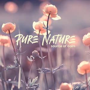 Pure Nature: Source of Calm - Natural Soothing Melodies