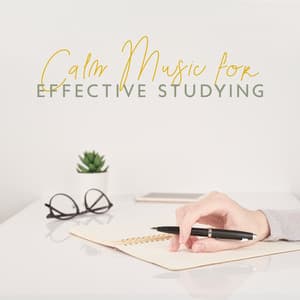 Calm Music for Effective Studying - Train Your Brain and Improve Your Concentration Level - Study New Age Counter Display