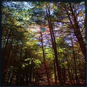 Sensory Reprogramming - Positive Thinking