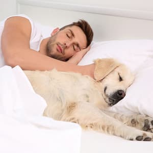 Melodies in Raindrops: Piano Pet's Dreamy Hours - Easy Listening Piano