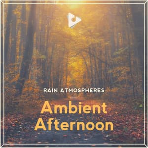 Ambient Afternoon - Rain Atmospheres