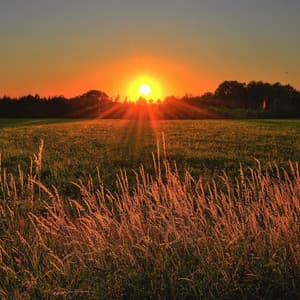 Relajante y fácil para la hora de dormir. - Relajación de Ruido Blanco Natural