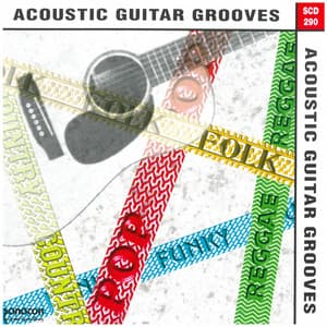 Acoustic Guitar Grooves - Paul Lenart