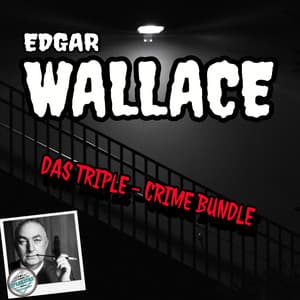 DAS TRIPLE-CRIME BUNDLE - André Hupfer