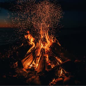 Bonfire - Nature Sounds Artists
