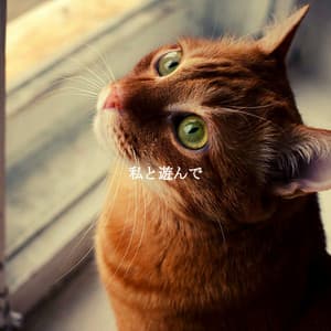 私と遊んで - Cafe Smooth Jazz Radio