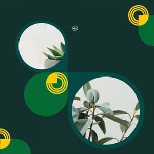 Feelings for Refreshing Spring - Quebec Jazz Lounge