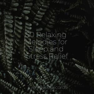 50 Relaxing Melodies for Sleep and Stress Relief - Kinderliederbande