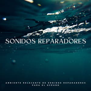 Ambiente Relajante De Sonidos Reparadores Para El Océano - Experiencia definitiva en el océano