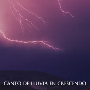 Canto De Lluvia En Crescendo - Colmena de Lluvia