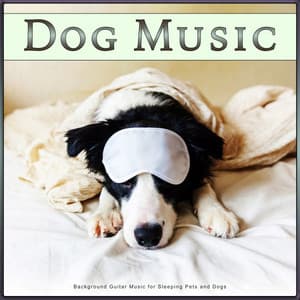 Dog Music: Background Guitar Music for Sleeping Pets and Dogs - Dog Music Bliss