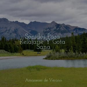 Sonidos Para Relajarse Y Gota Sana - Sonidos de la Naturaleza Relax