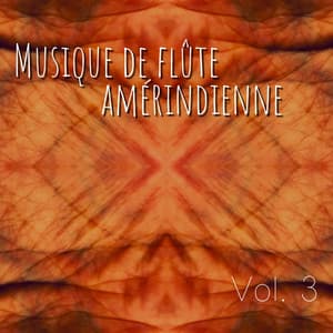 Musique de flûte amérindienne Vol. 3 - Club de Détendre Amérindien