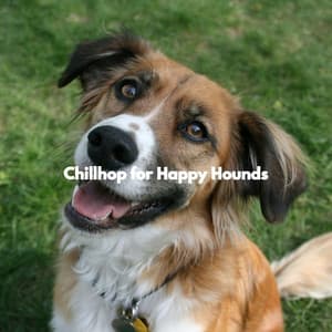 Chillhop for Happy Hounds - Dog Jazz Sounds