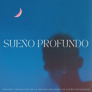 Sueño Profundo: Sonidos Tranquilos De La Naturaleza Para Un Sueño Reparador - ADN de la naturaleza