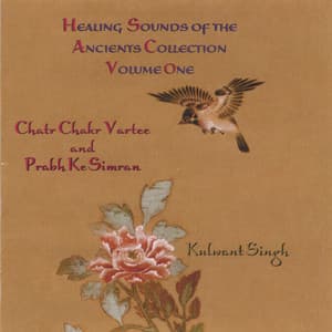 Healing Sounds of the Ancients Vol. One - Kulwant Singh