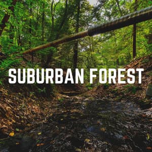 Suburban Forest - Nature Sound Series