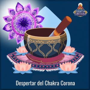 Despertar del Chakra Corona - Esencia Tibetana