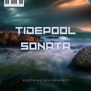 Tidepool Sonata - Soothing Sea Serenity