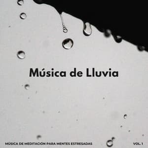 Música De Lluvia: Música De Meditación Para Mentes Estresadas Vol. 1 - Meditación Lluvia Sonidos