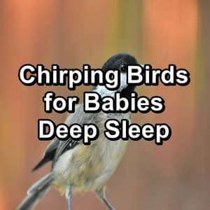 Chirping Birds for Babies Deep Sleep - Bird Sounds 2016