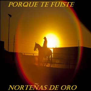 Porque Te Fuiste - Nortenas De Oro