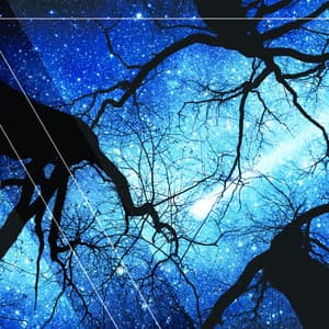 Musica per un sonno tranquillo - Ambiente Spazio Musica