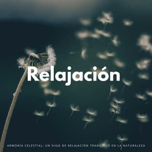 Armonía Celestial: Un Viaje De Relajación Tranquilo En La Naturaleza - Martinillo